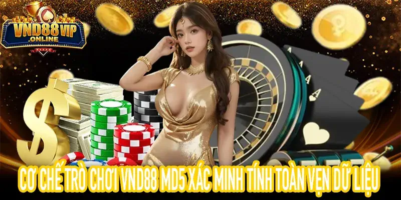 Cơ Chế Trò Chơi VND88 MD5 Minh Họa Xác Minh Dữ Liệu