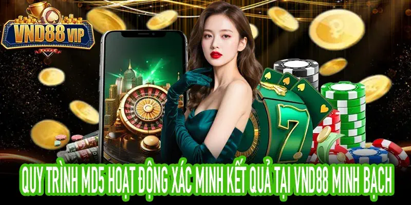 Quy trình md5 hoạt động xác minh kết quả tại VND88 minh bạch
