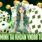 Cách xác minh tài khoản VND88 từng bước từ đăng nhập đến hoàn tất
